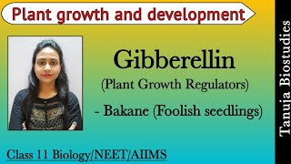 Plant Growth Regulators  Gibberellins Bakane Foolish seedlings Disease  11th BiologyNEETAIIMS [upl. by Attebasile]