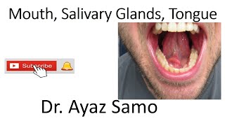 Mouth Salivary Glands Tongue [upl. by Ynittirb]