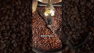 Did You Know Why Robusta Coffee is So Bitter – The Science Behind It [upl. by Favin]