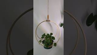 Colgador para plantas con aros de madera🪵🪴diy plants jardin huerto plantlady plantas hang [upl. by Christiansen]