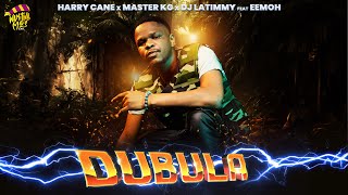 Dubula Nyusa Nyusa HarryCane x Master KG amp DJ Latimmy FeatEemoh [upl. by Nasar]