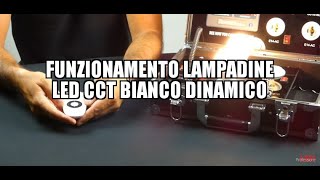 Funzionamento lampadine LED CCT Bianco Dinamico [upl. by Anitnatsnok551]