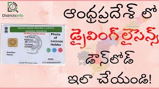 Driving License Download Online in Andhra Pradesh State  AP Driving License 2020 Download [upl. by Garreth837]