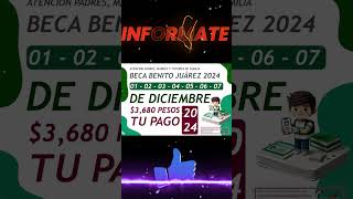 📌💣01 – 02 – 03 – 04 de Diciembre A una semana recibes 3680 pesos de la Beca Benito Juárez 2024 [upl. by Simmons184]