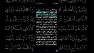 Surah Ghafir part5 [upl. by Ecylla]