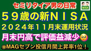 59歳の新NISA NISA、特定口座、iDeCoの運用状況 2024年11月末現在 セミリタイア男の日常 [upl. by Oiramaj]