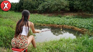 Você Pensaria Que Já Viu Tudo Se Isso Não Tivesse Sido Filmado [upl. by Gregor805]