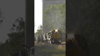 Aurizon Cattle Train railfanning [upl. by Derraj845]