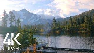 8 Hours of Birds Singing on the Lakeshore and Water Sounds  Relaxing Nature Sounds  Mount Shuksan [upl. by Ytsirhc687]