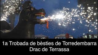 1a Trobada de bèsties de Torredembarra  Drac de Terrassa [upl. by Anais]