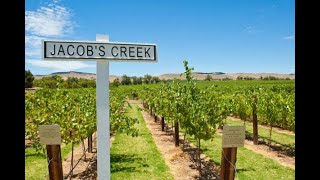 Jacobs Creek wine tasting Barossa Valley South Australia [upl. by Nabi]