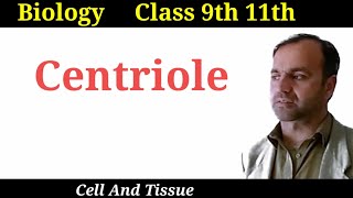 Centrioles  structure and function of centrioles  Class 9 and 11  Cell organelles [upl. by Kassandra68]