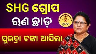 SHG Group Loan Update in Odia  Subhadra Yojana Money Credit 2024 [upl. by Rodoeht]