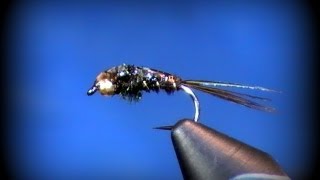 Fly Tying Flashback Pheasant Tail [upl. by Bez]