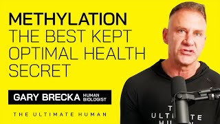 Methylation  The Best Kept Optimal Health Secret [upl. by Cnut]