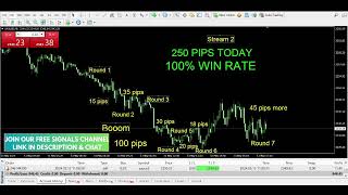 LIVE GOLD Trading 999999 win rate LIVE GOLD STREAM TODAY  Monday May 13 STREAM 2 [upl. by Ramirol573]