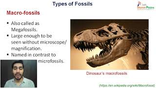 Evidences of Evolution Paleontological Evidences [upl. by Idnis]