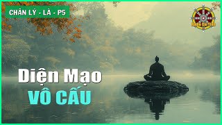 Maharaj nói về chính mình  Chân Lý – Là – phần 5 [upl. by Bazluke355]