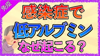 イラストで学ぶ医学！「感染症で低アルブミンになる理由とは？」アルブミンとはラシックスとアルブミンの関係アセスメントの仕方 [upl. by Linnea75]