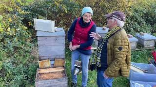 Live von Pias Bienenstand  12112023 [upl. by Botzow]