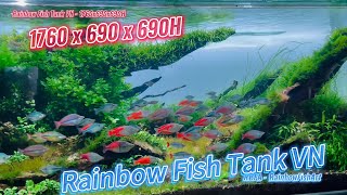 Rainbow Fish Tank VN  Layout Nature so Beautiful  Mạnh Cường [upl. by Koziara407]