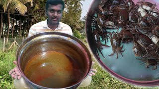 VAYAL NANDU RASAM IN TAMIL  CRAB RASAM IN TAMIL  NANDU RASAM  CRAB RECIPES  DAMS KITCHEN GALATTA [upl. by Ashlee]