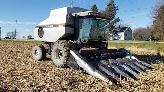 Gleaner R62 Harvesting Corn [upl. by Wilie]