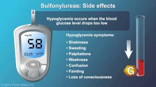 Treatment and Management of Type 2 Diabetes [upl. by Sethrida]