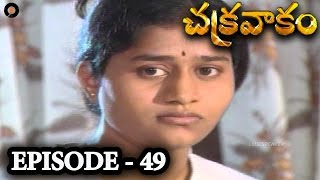 Episode 49  Chakravakam Telugu Daily Serial [upl. by Fina]