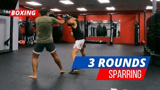 BOXING SPARRING AT GRACIE BARRA WESTCHASE 3 ROUNDS [upl. by Anilahs]