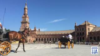 PLAZA DE ESPAÑA  SEVILLA [upl. by Caprice]