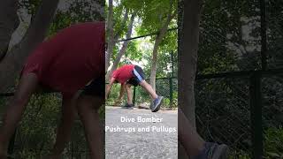 Dive Bomber Pushups and Pullups [upl. by Gussi]