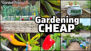 Garden Tour CHEAP Growing TIPS Peppers Squash Tomatoes Lettuce Collard Cucumbers Container Gardening [upl. by Jacenta932]