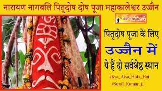 पितृदोष पूजा उज्जैन  नारायण नागबलि पूजा उज्जैन pitradosh narayannagbali mystery hindinews [upl. by Irama]