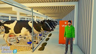 moving some dairy cows around  American dairy farm  FS22 [upl. by Sukramed]