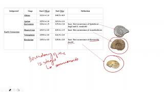 Cretaceous of Trichinopoly [upl. by Gerdi]