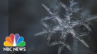 Snowflake Anatomy Breathtaking Microscope Photos  NBC News [upl. by Aniez]