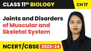 Joints amp Disorders of Muscular and Skeletal System  Locomotion and Movement  Class 11 Biology [upl. by Isak]