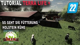 LS22  TerraLife  Tutorial  Fütterung der Holstein Kühe und Bullen [upl. by Massimiliano]