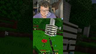 THE BEES ATTACKED ME IN MINECRAFT minecraft gaming funny [upl. by Lory647]