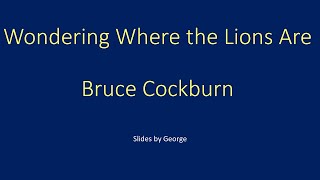 Bruce Cockburn Wondering Where the Lions Are karaoke [upl. by Levy]