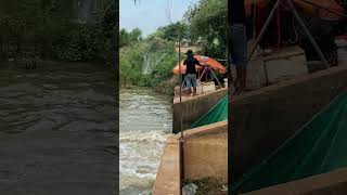 Real hand fishing in the river water fishing fishingworld shorts fishingtips fish fishingworl [upl. by Asabi]