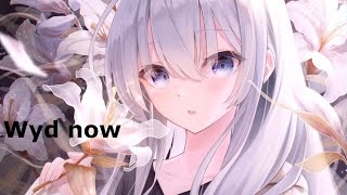 Nightcore  wyd now sadie jean ft zakhar [upl. by Dlawso829]