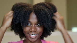 How to Moisturize 4C Hair LOC Method [upl. by Erasme]