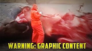 Whale Explodes  Sperm Whale Carcass Explosion GRAPHIC CONTENT [upl. by Hambley]