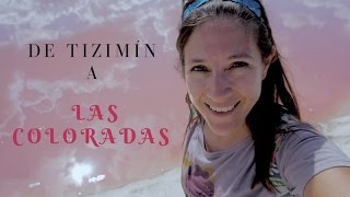 De Tizimín a Las Coloradas mar rosa Yucatán [upl. by Yhtuv]