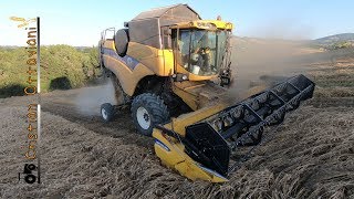 New Holland CX 5090 Elevation Hillside  Trebbiatura  Harvest 2018 [upl. by Ioved631]