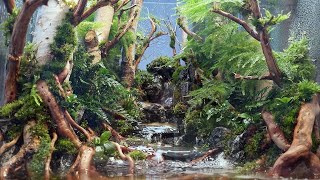 Put a real forest on your desk Creating a healing terrarium with small waterfalls and streams [upl. by Ky158]