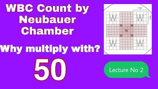 WBCs Manual Count through Neubauer Chamber and its calculation [upl. by Dario675]