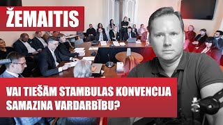 VAI TIEŠĀM STAMBULAS KONVENCIJA MAZINA VARDARBĪBU  Roberts Žemaitis [upl. by Hassett]